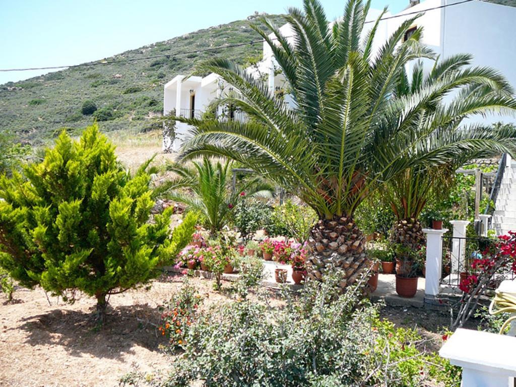 Hotel Porto Potha Telendos المظهر الخارجي الصورة
